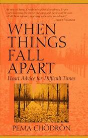 When Things Fall Apart cover